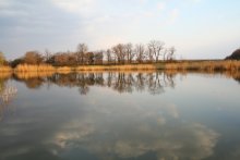 Rückstau / ***