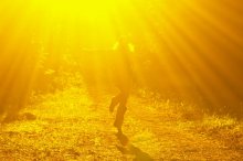 Sonne trinken / ***