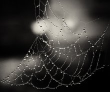 Dream Catcher II (Necklace) / ***