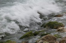 Perpetuum Mobile und Stille / ***