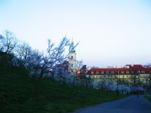 Frühling / ***