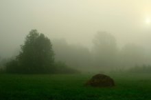 Durch den Nebel / ***