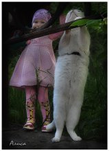 Die oben / ********