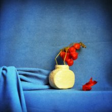 Ohne Titel / ***
