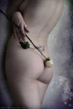 Delirium / ***