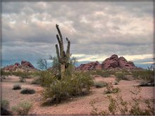 Papago Mountain / ***