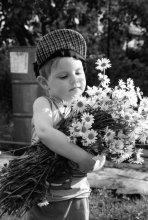 Gänseblümchen / ***