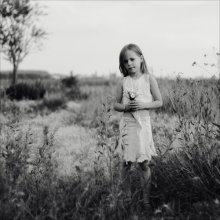Kamille - Lieblingsblume / *****