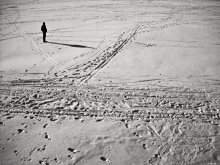 Path / ***