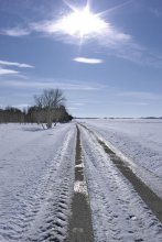 Rolled Spur / *****