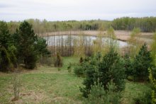 Forest Lake / ***