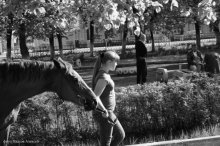 Eine Dame mit einem Pferd / ***