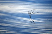 das Streben / *****