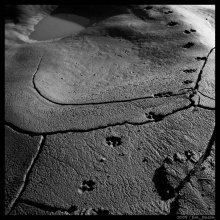 trace / ......
