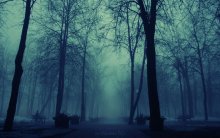Nebel / .........