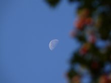 Sommer. Mond. / ***