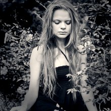 The Queen of the Garden / ***