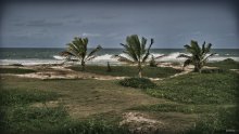 Tamatave plage / ***