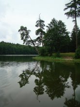 Spiegelung / ***