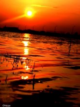 Am Ende des Tages / ***