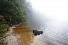 Silent Dream / Mummelsee