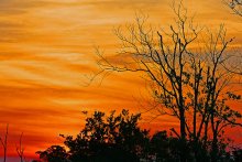 Abend in Amerika / ***