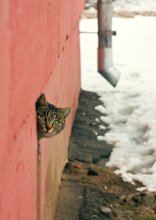 Na ja, hallo! / *****