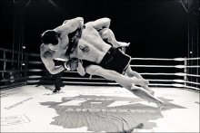mixfight / ***