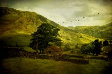 lake district / ......