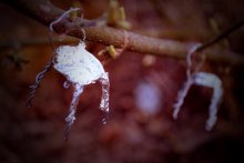 Traum / ..........