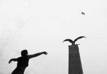 Auf der Vogel / ***