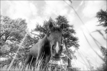 Hallo ... / ***