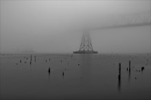 the fog / ***