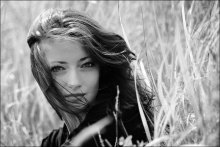 Wind / ***