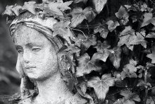 Luchakovskaya Madonna / ***