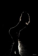 Silhouette / ***