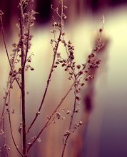 fragility.. / ***