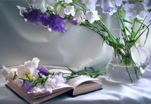 Stillleben mit Schnittblumen / ***