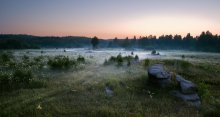 Misty Morgen / ***