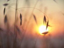 umarmt den Sonnenuntergang ... / .....