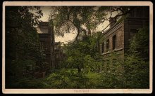 Alte Hof / ***
