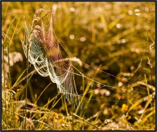 Absurd Fantasie ... / ***