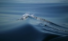 Nur Wasser № 1 / ***