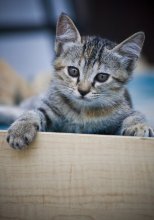 Look At Me! / ***