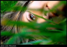 An Eye / portfolio