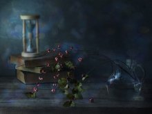 Winter Dreams of Spring / *****