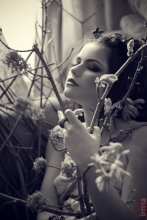 Hexe / ***
