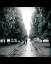 walking / ********