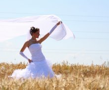 Hochzeit Foto / ***