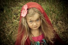 Little Red Riding Hood / ***